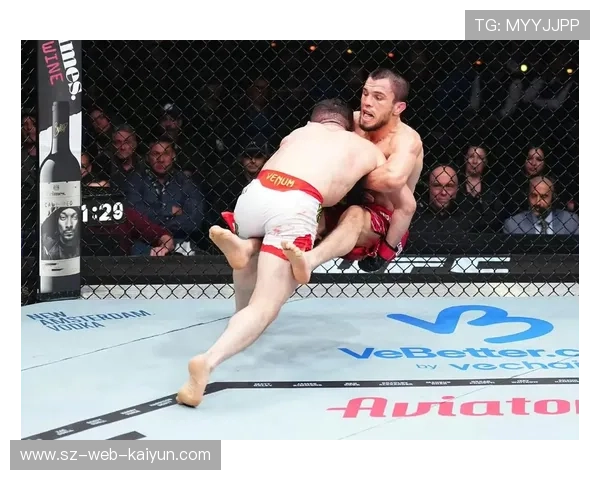 UFC 323技术统计：严爆肝打击高效，范抱摔转化率100%